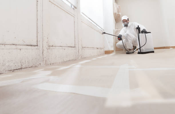 24/7 Emergency Black Mold Removal experts in Marlton, MD