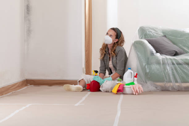Reliable Black Mold Removal contractor in Marlton, MD by WQB Mold Removal